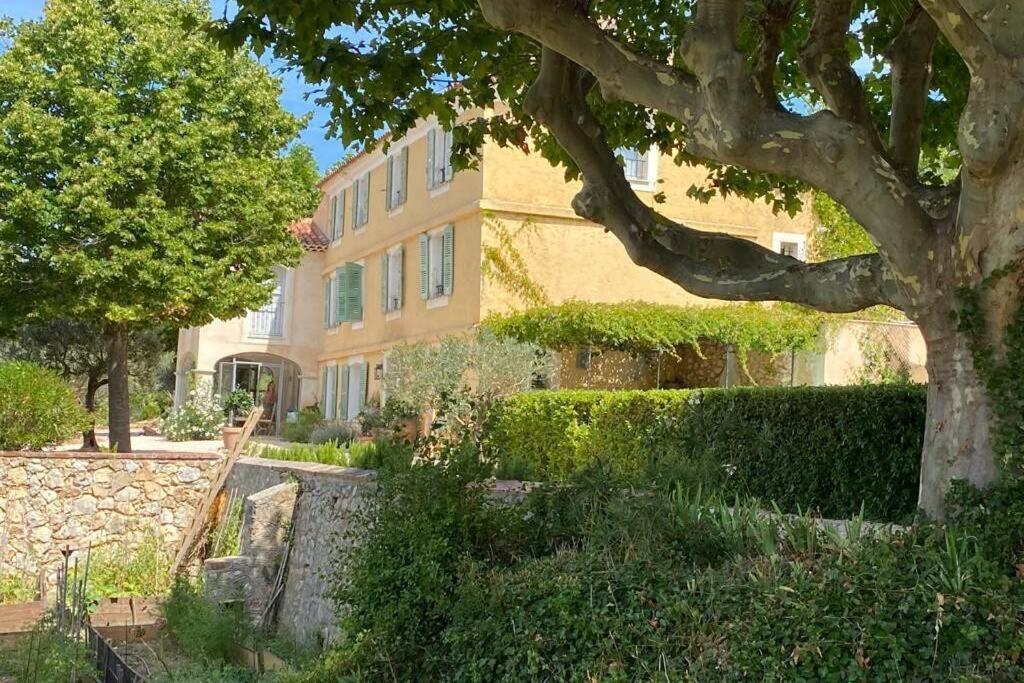 Bastide Au Milieu Des Vignes Et Des Oliviers Aups Villa Exterior foto