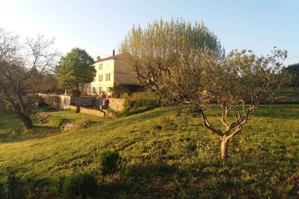 Bastide Au Milieu Des Vignes Et Des Oliviers Aups Villa Exterior foto