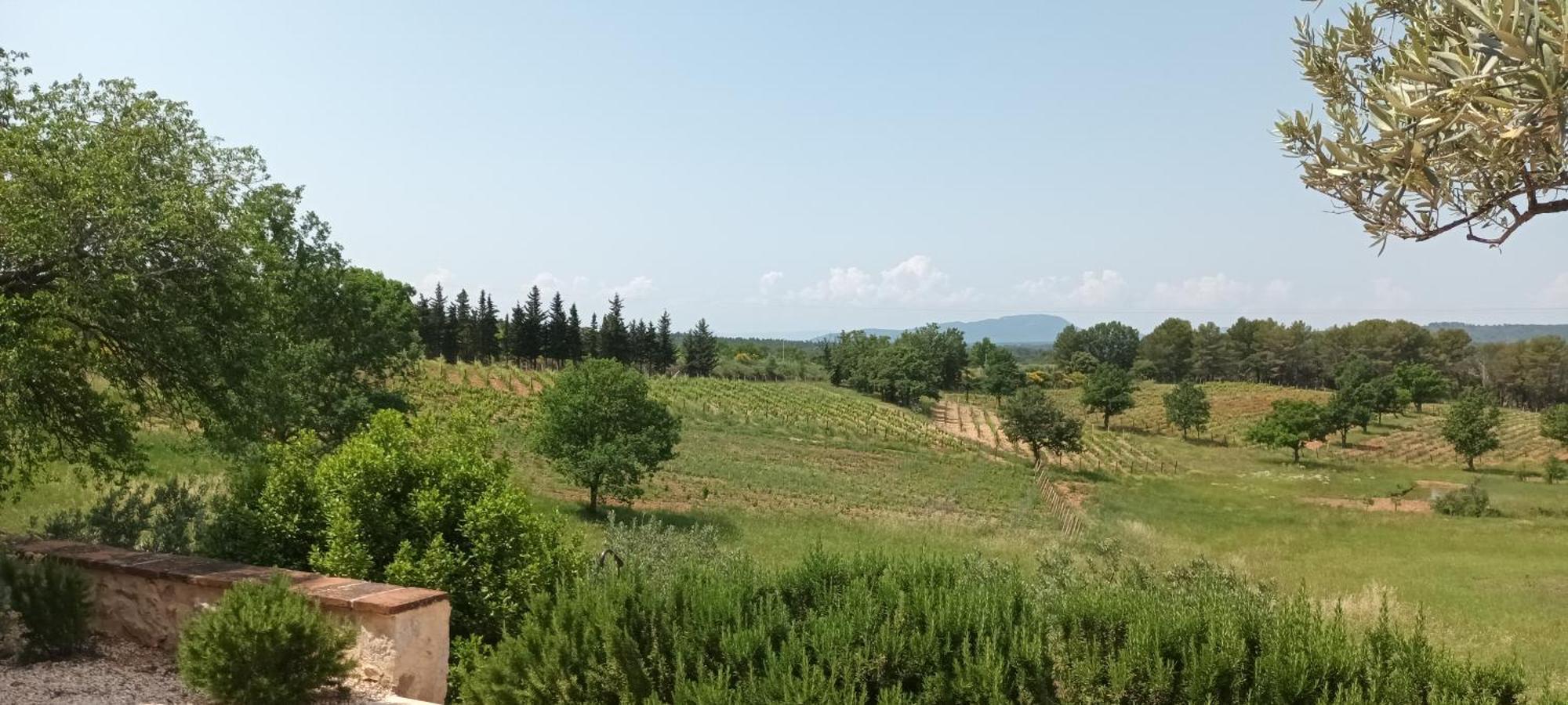 Bastide Au Milieu Des Vignes Et Des Oliviers Aups Villa Exterior foto